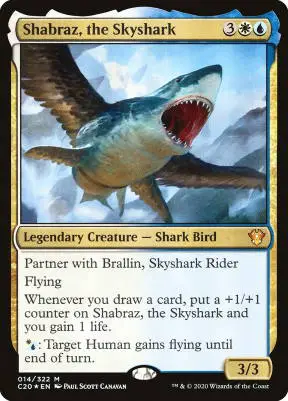 shabraz the skyshark