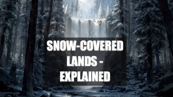 snow land feature