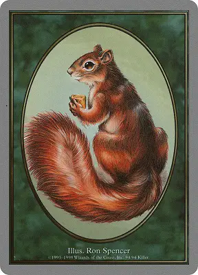 Squirrel 