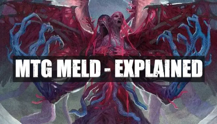 meld feature