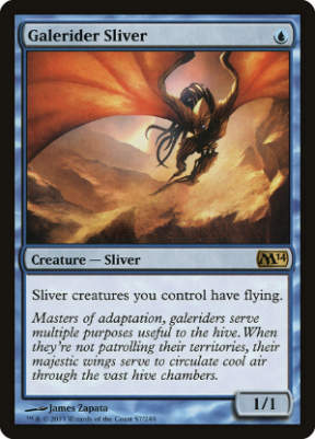 galerider sliver