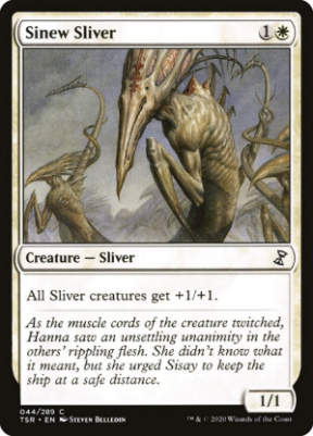 sinew sliver