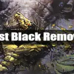 best black removal feature image