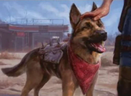 dog meat in fallout 4